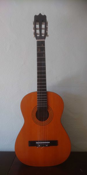 Akustikgitarre